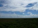 Everglades NP