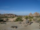 Joshua Tree