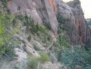 Zion NP