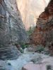 Zion NP