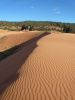 Coral Pink Sanddunes