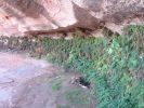 Page Hanging Garden Trail