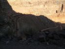 Shafer Trail