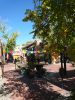 Albuquerque