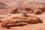 20060621_0513.jpg