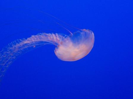100_2114.JPG