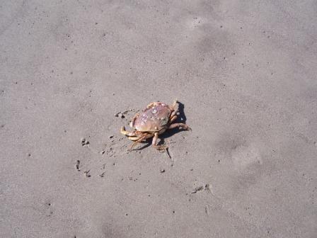 100_2226.JPG