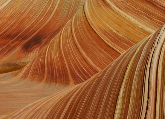 The Wave, AZ
