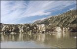 Glacier_Bay_Grand_Pacific_Glacier.jpg
