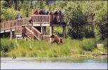 Katmai National Park - Viewing Deck