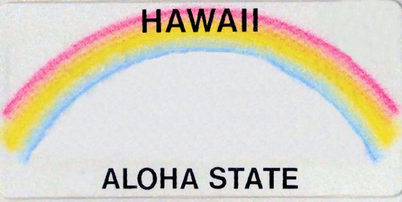 Hawaii License Plate
