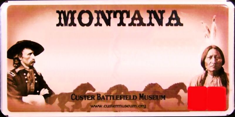 Montana License Plate
