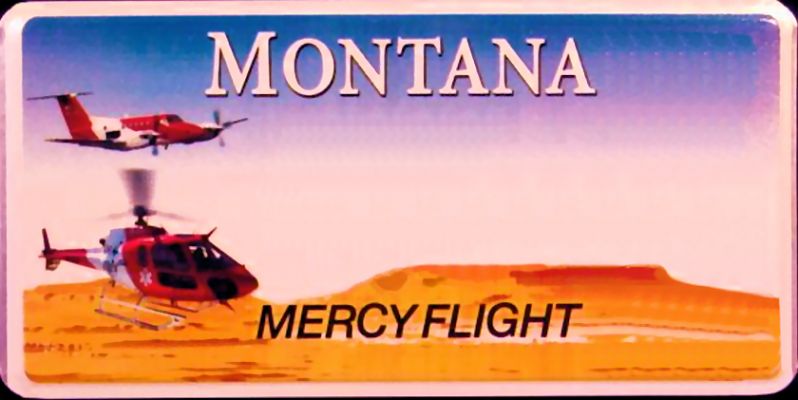 Montana License Plate
