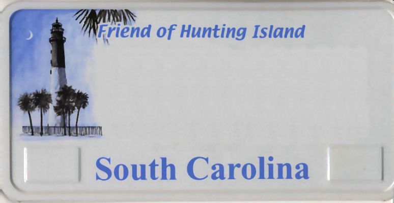 South Carolina License Plate
