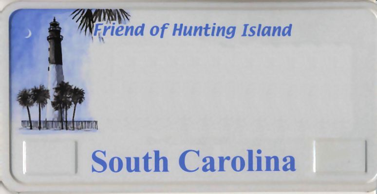 South Carolina License Plate
