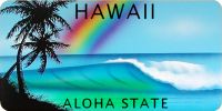 Hawaii Fake License Plate