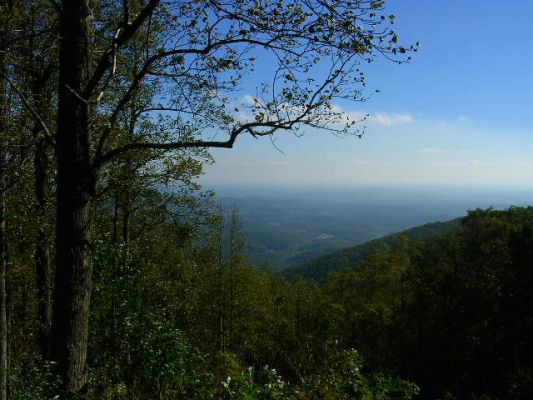 DSCN2770.JPG