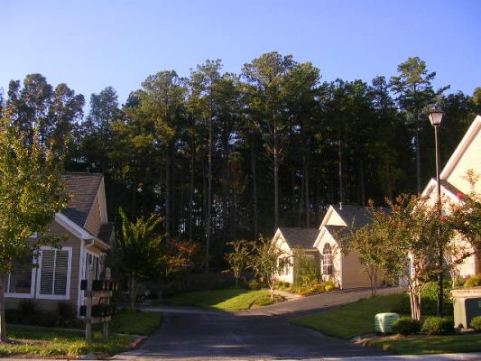DSCN2953.JPG