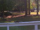 DSCN3293.JPG