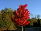 DSCN3371.JPG