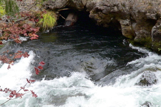 2006-10-14 09 Rogue River Hoehle.jpg