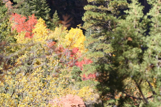 2006-10-23 06 Indian Summer - Emerald Pools Trail.jpg