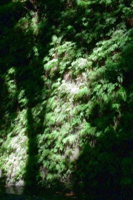 2006-10-08 01 Fern Creek Canyon.jpg