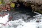 2006-10-14 09 Rogue River Hoehle.jpg