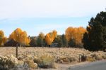 2006-10-18 02 Indian summer in der Antelope Flat.jpg