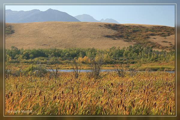 Waterton Lakes Nationalpark

