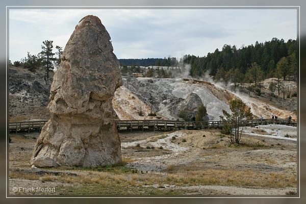 Mammoth Hot Springs

