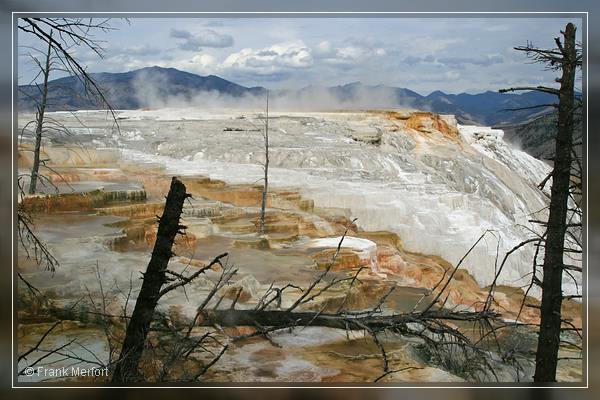 Mammoth Hot Springs
