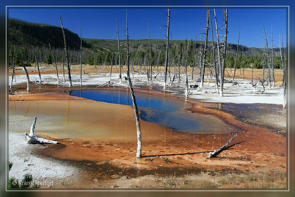 Black Sand Basin
