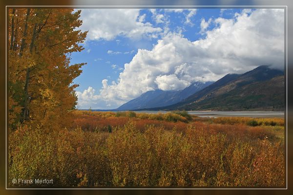 Jackson Lake
