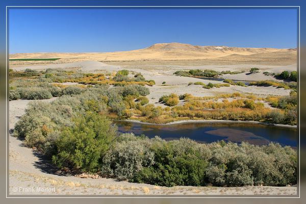 Bruneau Dunes State Park
