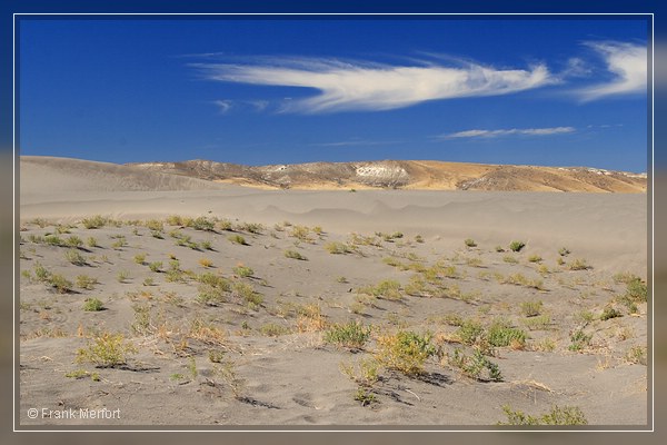 Bruneau Dunes State Park
