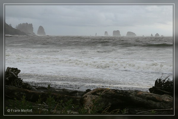La Push
