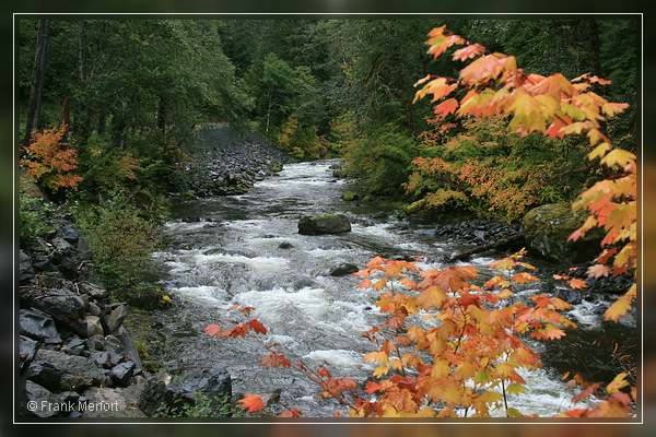 Salmon Cascades
