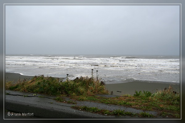Kalaloch
