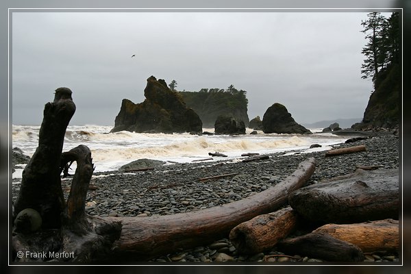 Ruby Beach
