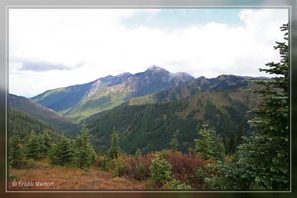 Hurricane Ridge
