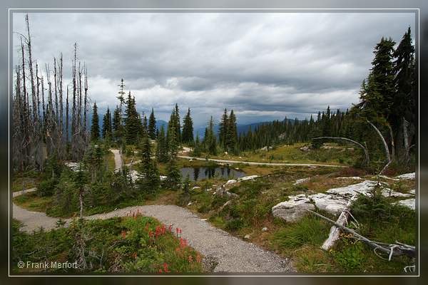 Meadows in the Sky Trail
