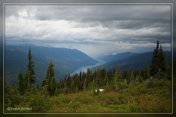 Meadows in the Sky Trail
