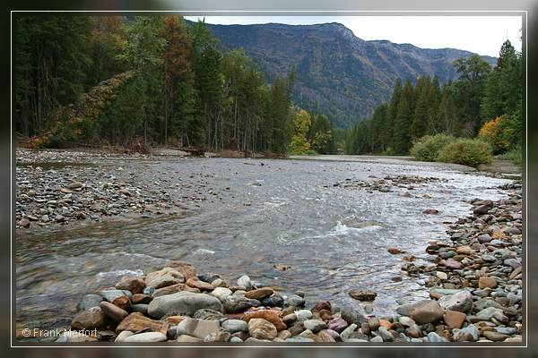 McDonald Creek
