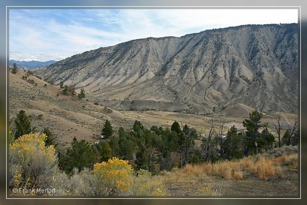 Mammoth Hot Springs
