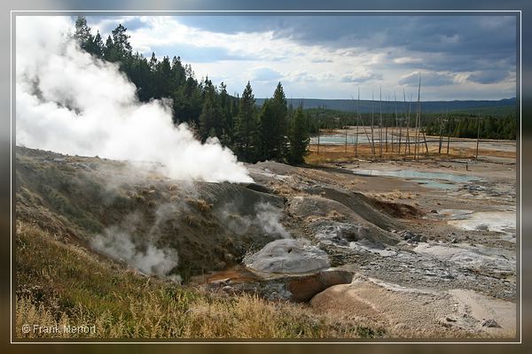 Norris Geyser Basin
