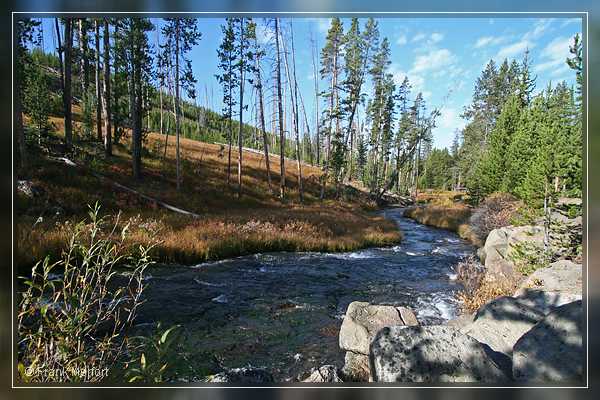 Virginia Cascades
