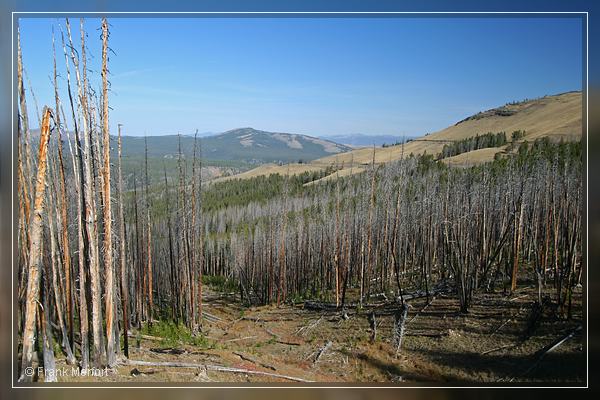 Yellowstone Nationalpark
