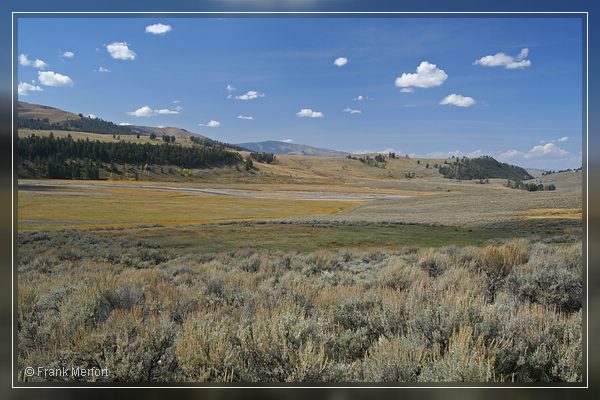 Lamar Valley 
