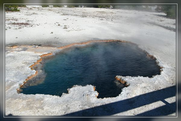 Surprise Pool
